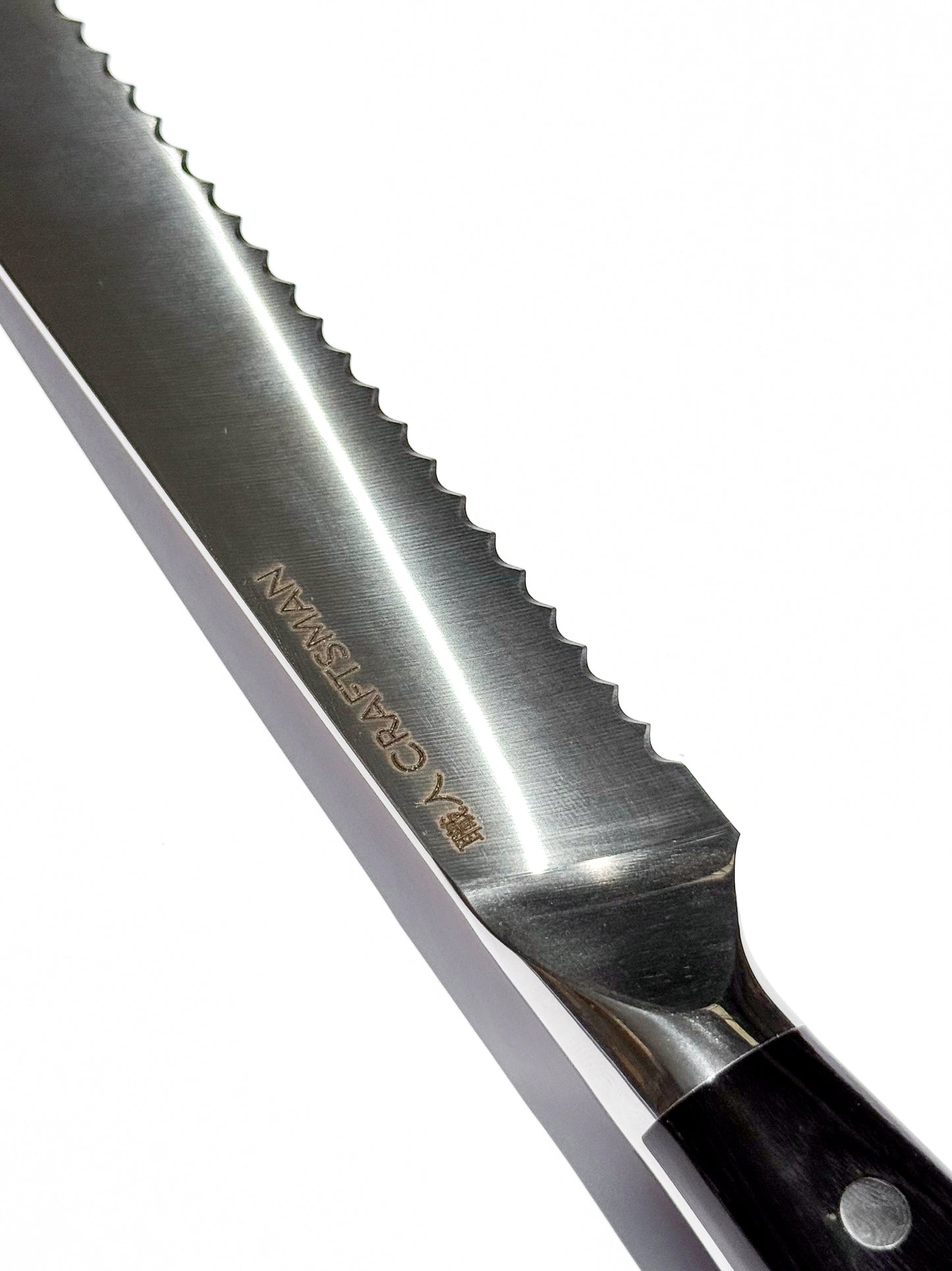 8" Bread Knife – Pakka Wood Handle