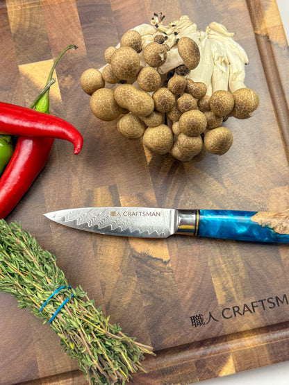 3-Piece Knife Set – Resin & Solidified Wood Handles (67-Layer Damascus Steel)